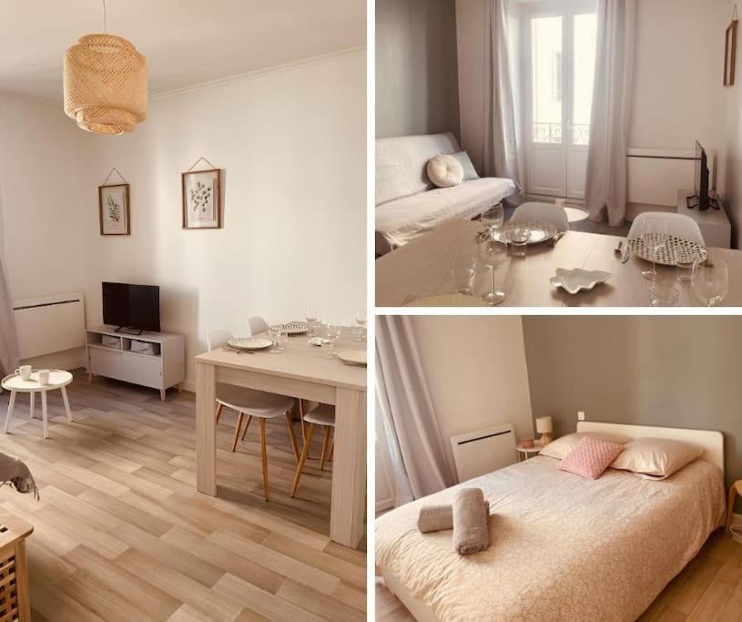 Le Coin Cosy L Balcon Lägenhet Castres  Exteriör bild